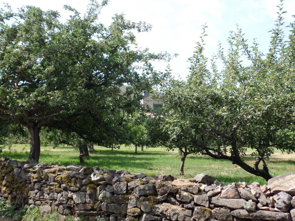 Casa Rural La Altanera Barniedo de la Reina Luaran gambar